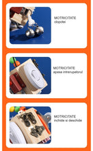 Cub Educativ din Lemn STEM – Busy Cube cu 8 Activități Motrice