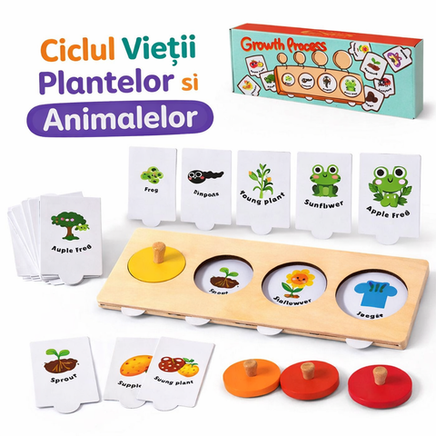 Ciclul Vieții Plantelor și Animalelor – Joc Educativ pentru Copii