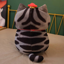 Jucărie de Plus Pisică Grăsuță Cute Kitty – 30 cm