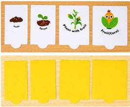 Ciclul Vieții Plantelor și Animalelor – Joc Educativ pentru Copii